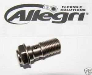 Bullone forato per Spurgo tubo singolo M10X1 codice 06GS2373