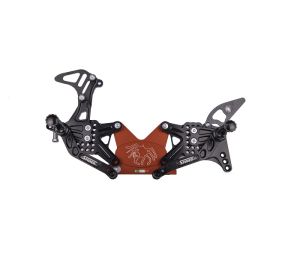 Pedane Spider Kawasaki ZX-10R 11-15 + pieghevoli